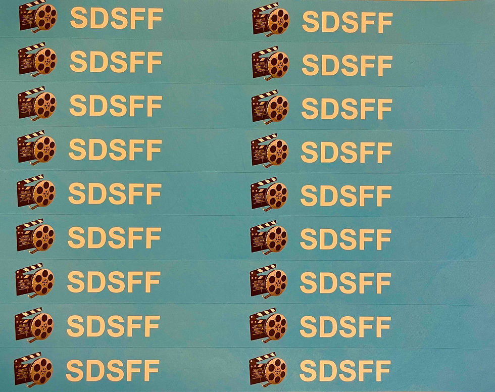 Thumbnail: Block I Ticket for SDSFF Quarterly Film Screening Awards