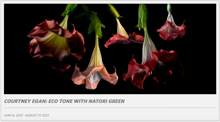 COURTNEYEGANECOTONEWITHNATORIGREEN.png