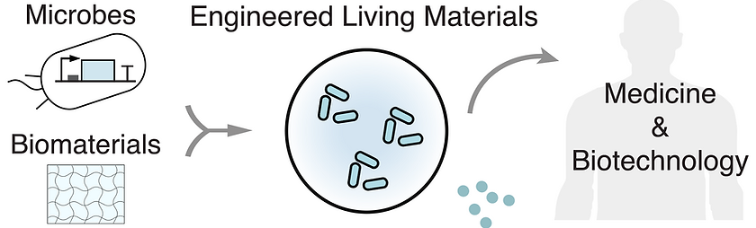 Screenshot 2025-10-20 at 2.12.57 PM.png