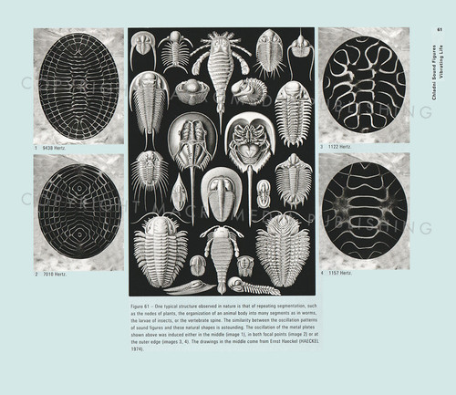 Water Sound Images | Cymaticsource