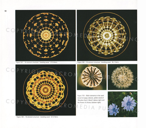 洋書 Water Sound Images Alexander Lauterwasser - Water Sound Images - Floris Books
