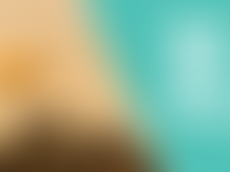 Danos Foundation Auction