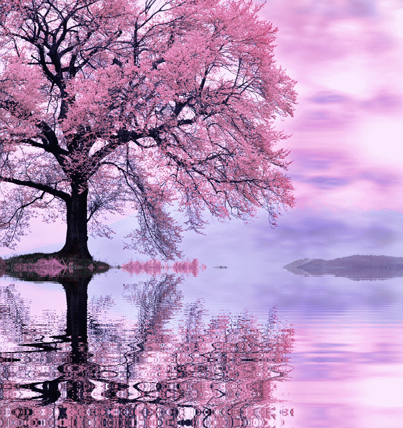pinktree.gif