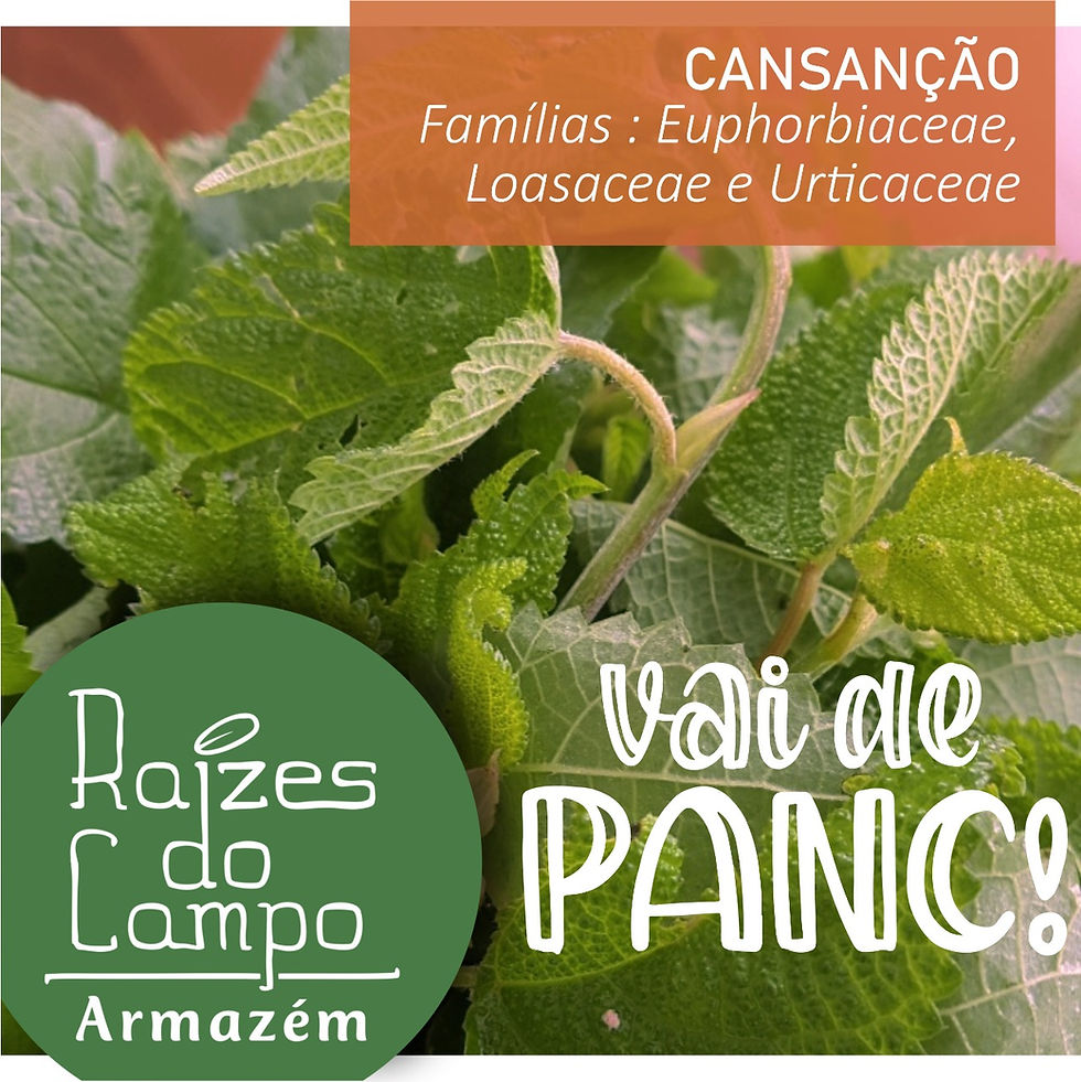 Miniatura: Cansanção (Molho)
