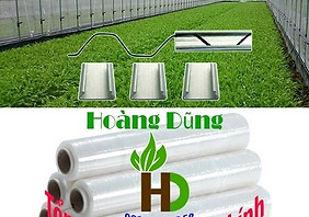 logo-hoang-dung-green.jpg