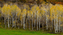 DSC_9982_DxO-2