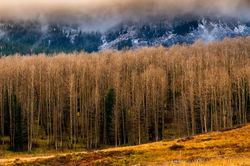 DSC_0136-HDR