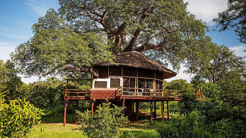 Tarangire-Treetops---accommodation---exterior-view-of-Treehouse-Suite.jpg