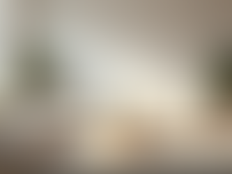 Experience the Best Cleaning Service in Memphis with a Free Clean for New Clients