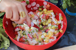 ceviche du yucatan