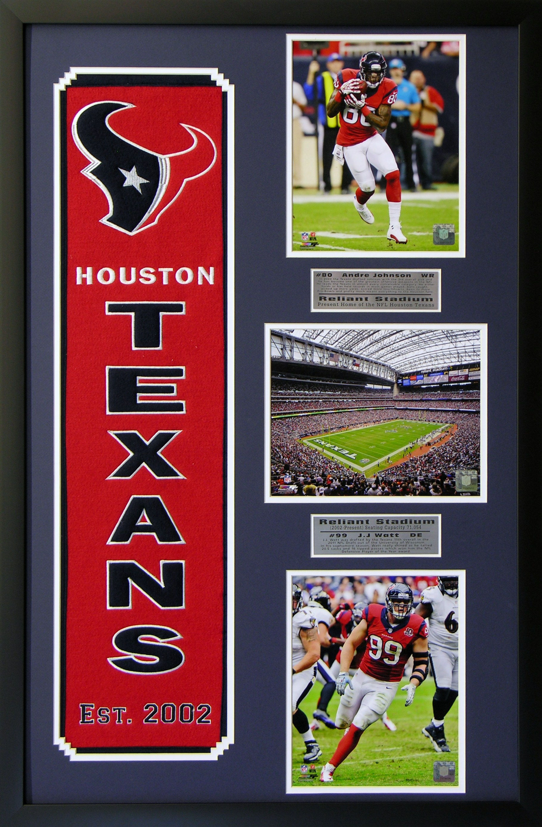 Houston Texans Heritage Wall Art