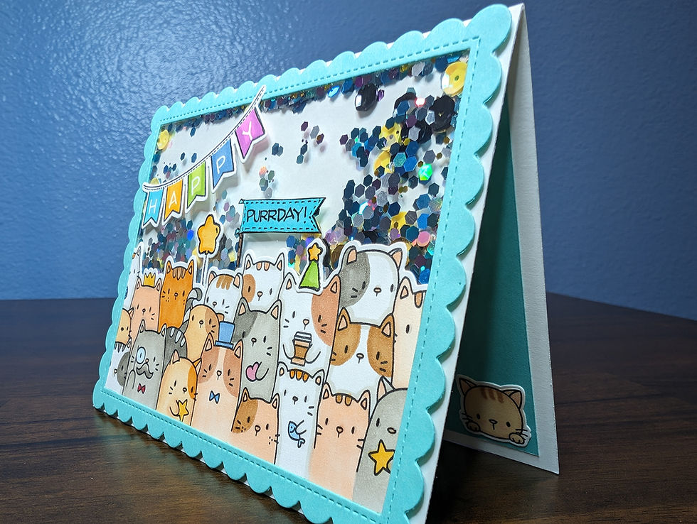 Thumbnail: Cat Birthday Confetti