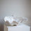Thumbnail: Giant clamshell display bowl
