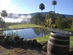 Cellar Door