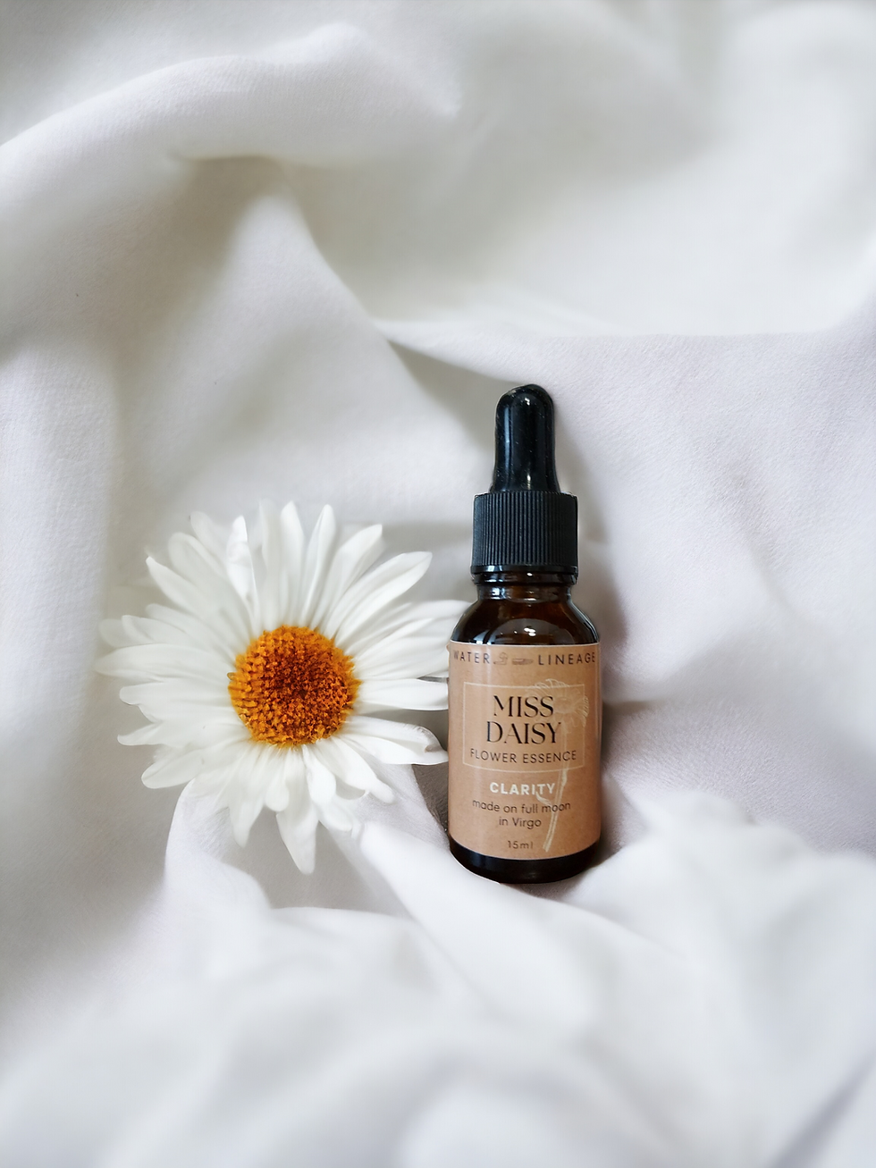Miniature : Plant Wisdom - Flower Essences