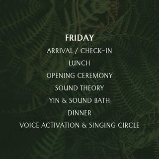 POSTS INSTA2_edited.jpg