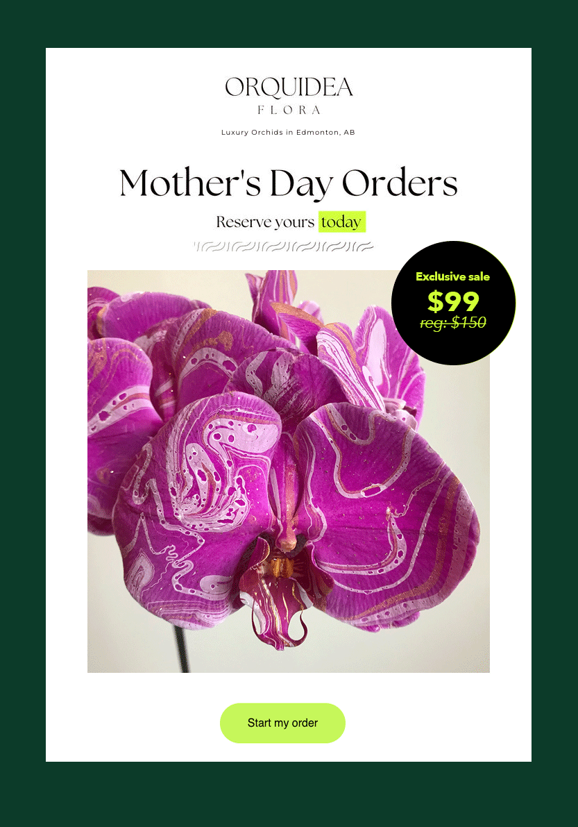 orquidea-email-example-header_02-flashing-circle.gif