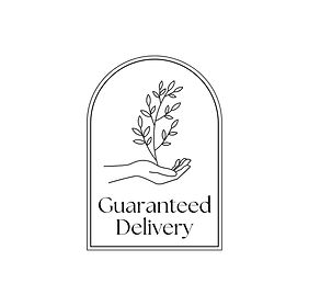 guaranteed delivery.jpg