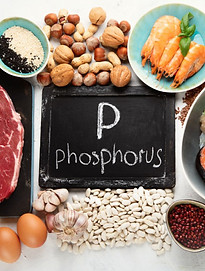 Unleashing a Healthier Future_ Low Phosphorus Dog Food.jpg