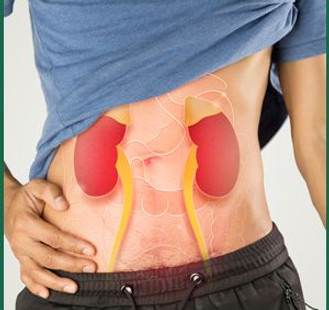 Kidney natural treatment without dialysis.jpg