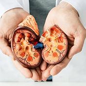 Stage 4 Kidney Failure Diet - Renal Diet HQ.jpg