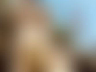 CAMINDIA se reúne con la Embajada de la India para preparar agenda 2020