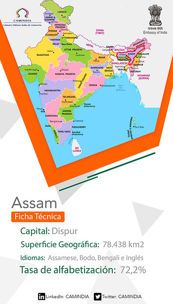Assam.jpg