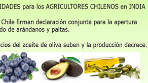 Oportunidades para los agricultores chilenos en India