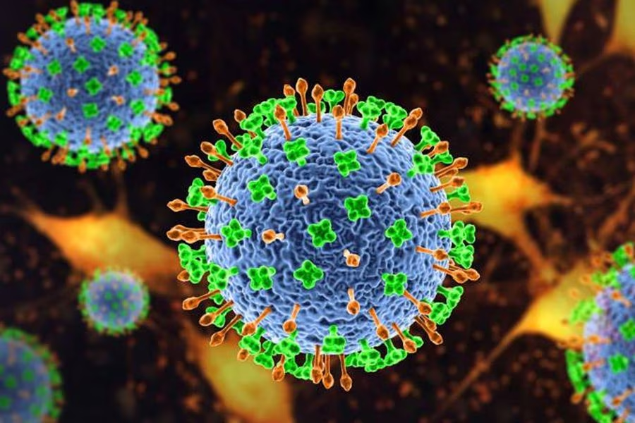 Nuevo brote del virus Nipah en la India,