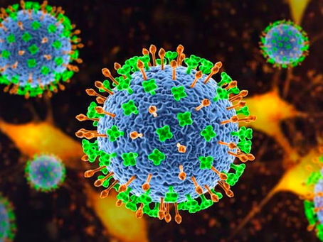 Nuevo brote del virus Nipah en la India,