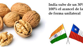 Especial: India sube el arancel de las nueces chilenas