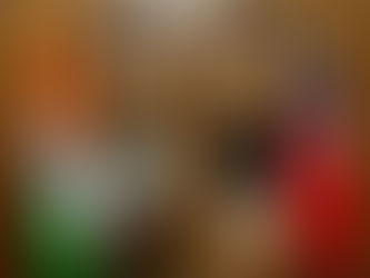 Bienvenida nuevo Embajador de India en Chile