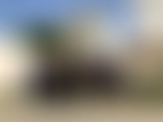 Misión comercial Dubai/India 2020