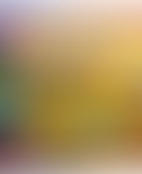 Dark Game - 2 - Der Abend 