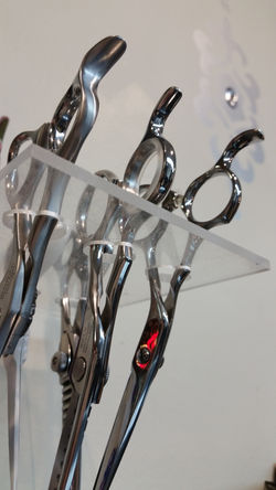 Shears