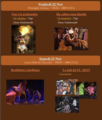 Programme des spectacles brochure FAARTS 24.jpg