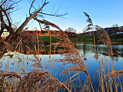 Picsart_22-02-13_19-09-48-999_edited.jpg