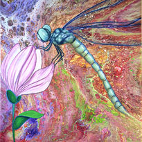 dragon-fly