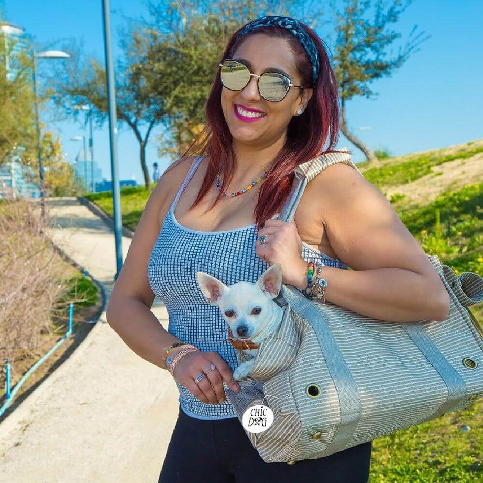 Miniatura: bolso para perros