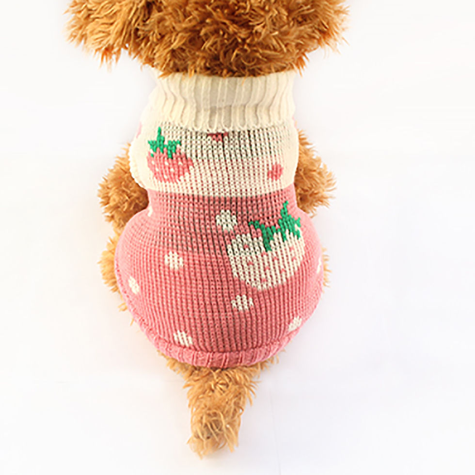 Miniatura: Chaleco de lana para perrita - diseño frutilla