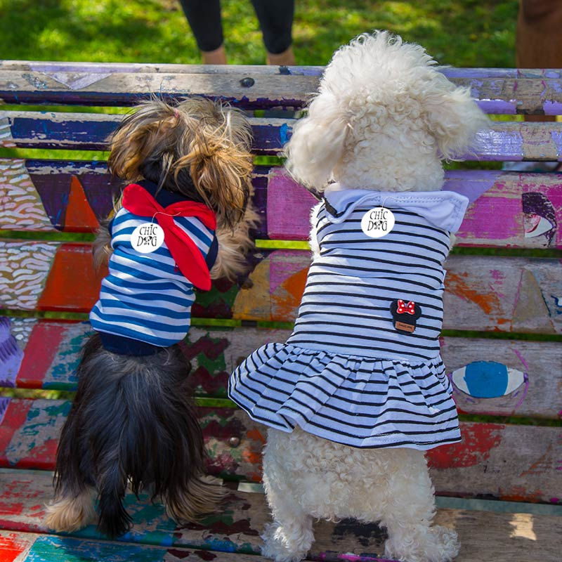 Miniatura: Polerón Moulin Rouge