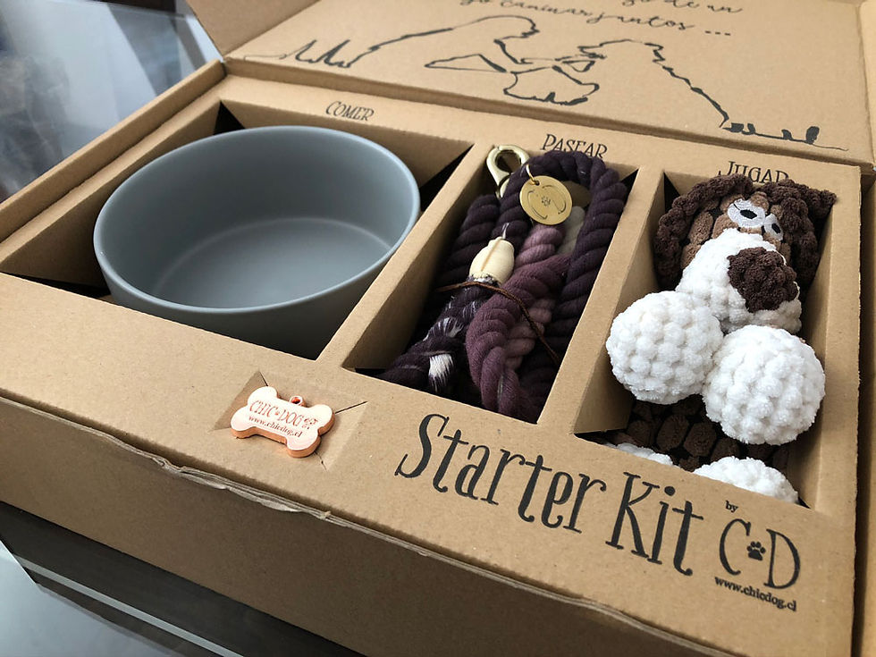 Miniatura: Kit de Iniciación Perros