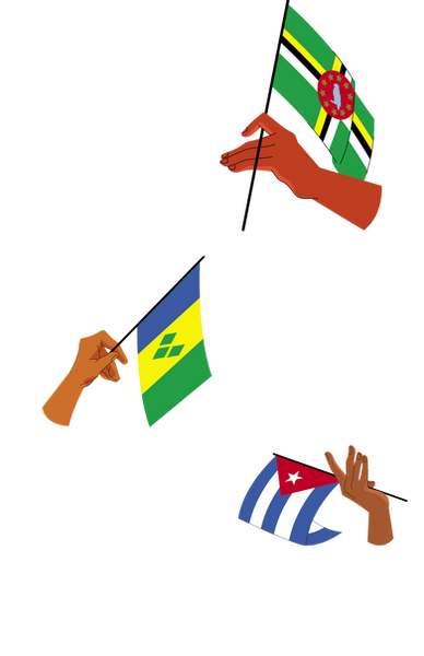 7.png