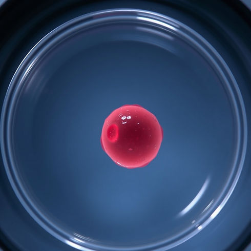 picture of a cell in a dish.jpg