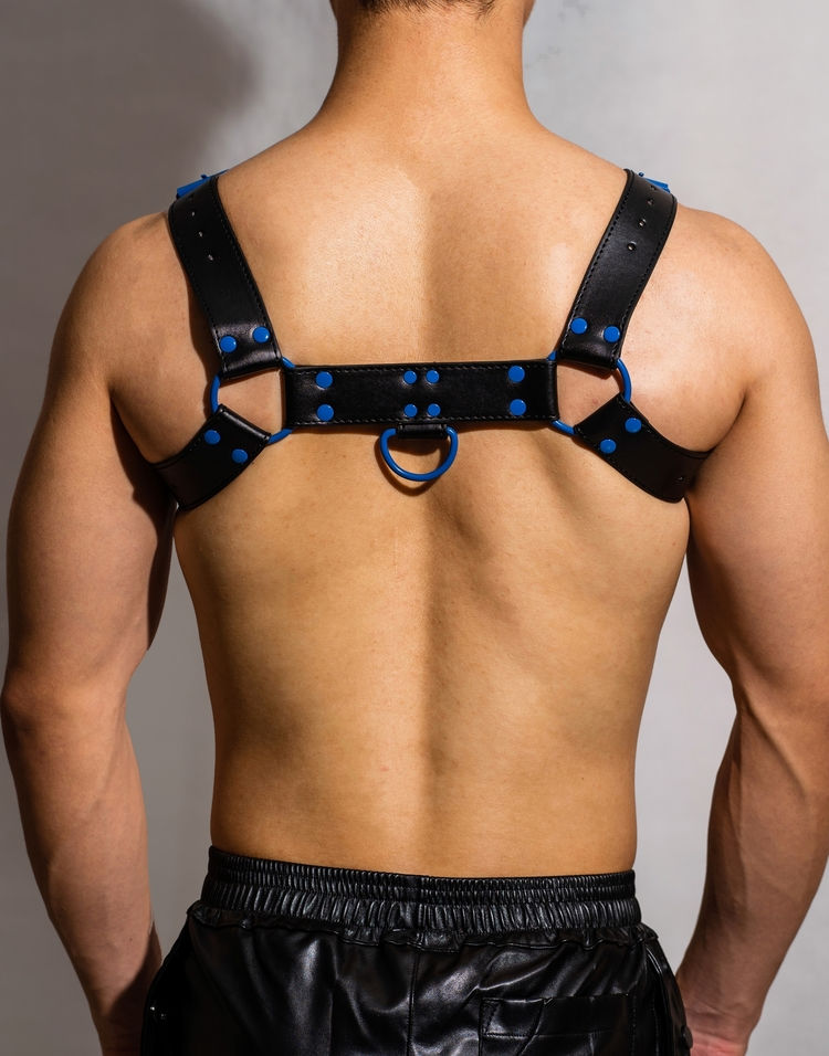 Thumbnail: D.M. Chest Harness
