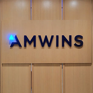 AMWINS