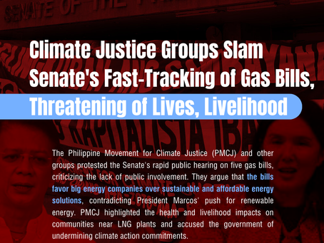Climate Justice Groups Slam Senate's Fast-Tracking of Gas Bills, Threatening of Lives, Livelihood