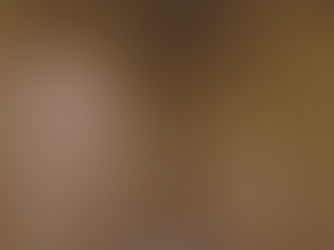 Conmarble Clay Plaster at a Mueseum