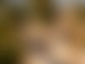 Is Rammed Earth Waterproof? What Architects Need to Know