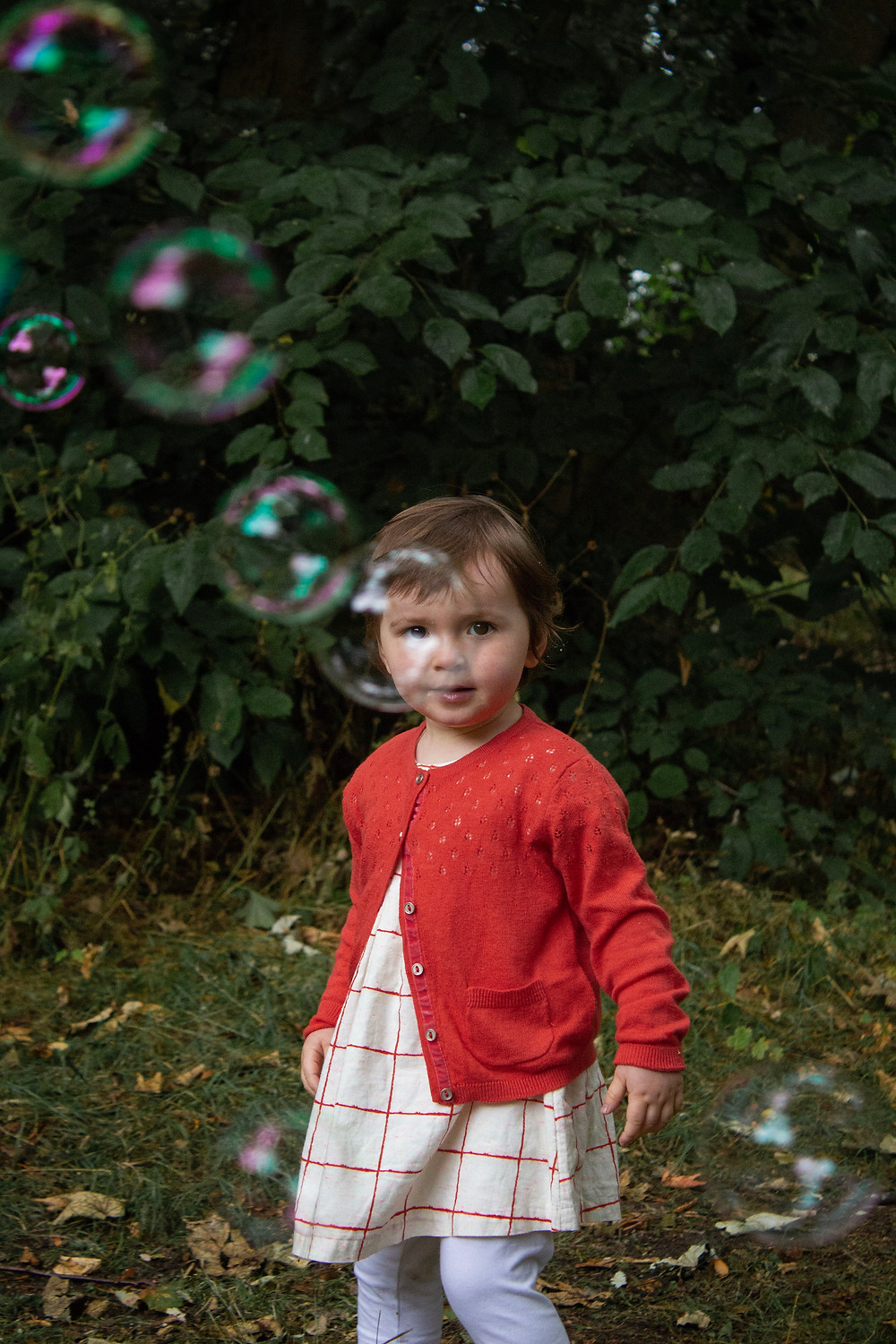 Liverpool Celebrant: Gorgeous Naming Day photo from Liam Doyle of Folkstar Photography